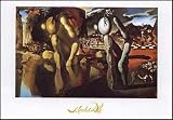Metamorphosis of Narcissus By Salvador Dali. Highest Quality Art Print Poster.