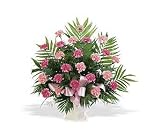 Teleflora's Classic Carnation Arrangement