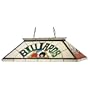 39"L Billiard & Rack Oblong Pendant