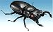 ムシキング サウンドフィギュア タランドゥスツヤクワガタ