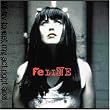 Feline