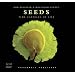 Seeds: Time Capsules of Life