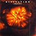 Divination, Akasha, 発売中