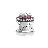 Bling Jewelry Happy Birthday Cake Hot Pink CZ 925 Sterling Silver Bead Charm Pandora Compatible