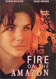 Fire on the Amazon