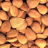 Raw organic bitter Apricot Kernels 1KG