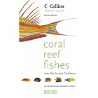 Click here to buy Collins Pocket Guide: Coral Reef Fishes (Collins Pocket Guides Series) by  Robert Myers and Ewald Lieske.