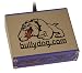 Bully Dog 43065 Rapid Power Performance Module