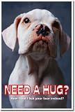 Need a Hug? - Classroom Motivational Poster