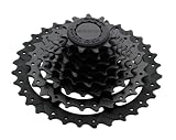 SRAM PG820 Bicycle Cassette
