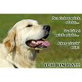 Metall - Warnschild Golden Retriever