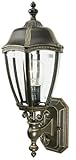IMAGE OF Dolan Designs 950-20 Antique Bronze Roseville Traditional / Classic 1 Light Outdoor Wall Sconce from