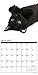 Just Black Cats 2017 Wall Calendar (Cat Breed Calendars)