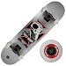 Birdhouse (CPX1034) Tony Hawk Skull 2 Series 7.5-Inch Full Size Complete Skateboard (Silver)