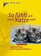 So f�hlt sich meine Katze wohl: Haltung, Pflege, F�tterung, Besch�ftigung