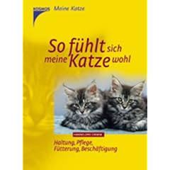 So f�hlt sich meine Katze wohl: Haltung, Pflege, F�tterung, Besch�ftigung