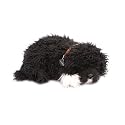 Perfect Petzzz Plush - Portuguese Water Dog