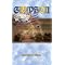 Books For Gryphon Lovers!