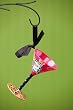 Diva Forever! Martini Christmas Ornament