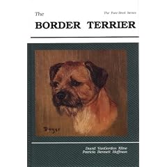Border Terrier (Pure-Bred)