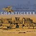 Purcell - Anthems and Sacred Songs