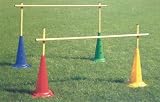 from Bishop Sports & Leisure Limited CALIBRATED HURDLES JNR 100