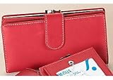 Mundi Rio Frame Clutch Wallet