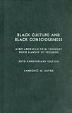 Black Culture and Black Consciousness: Afro-American Folk Thought from Slavery to Freedom
