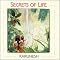 Some of the Softer Side of New Age & World Music