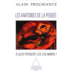 Les anatomies de la pensee a quoi pensent les calamars?