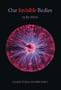 Our Invisible Bodies: Scientific Evidence for Subtle Bodies