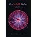 Our Invisible Bodies: Scientific Evidence for Subtle Bodies