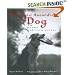 The World According to Dog: Poems and Teen Voices (Bccb Blue Ribbon Nonfiction Book Award (Awards))