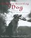 Book The World According to Dog: Poems and Teen Voices (Bccb Blue Ribbon Nonfiction Book Award (Awards))