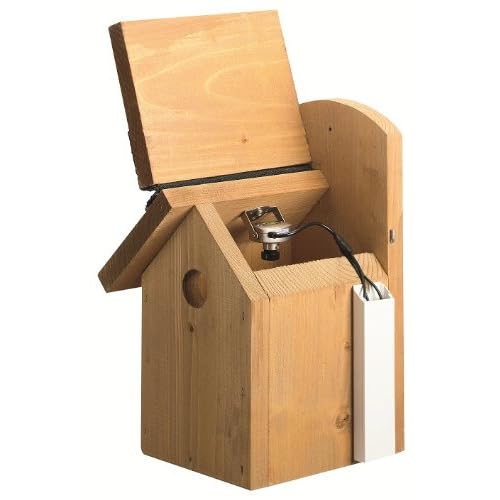 amazon digital camera reviews