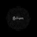 Schism (DVD-Single)