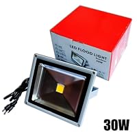 ZITRADES High Quality High Power 90V - 240V AC Outdoor 30W LED Spotlight Flood Light Wall Wash Garden Waterproof Floodlight with US 3-Plug Cool White BY ZITRADES