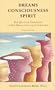 Dreams, Consciousness, Spirit:  The Quantum Experience of Self-Reflection and Co-Creation