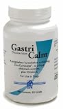 GastriCalm - FOR DOGS 60 Chewable Tablets