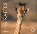 Giraffes (Worldlife Library)