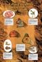 Ancient Dinosaur Discoveries Poster