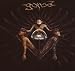 Gorod-Leading Vision
