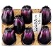 おつけもの処 高野 泉州水茄子漬(109690FC*/000)