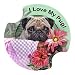 Carsters- Pug Car Coasters