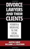 Divorce Lawyers and Their Clients: Power and Meaning in the Legal Process