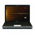 HP Pavilion DV4-2161NR 14.1-Inch Laptop (Digital Plaid)