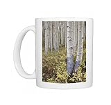 Aspen grove in early fall, White River National Forest, Colorado, United States Photo Mugs