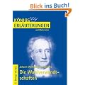 K�nigs Erl�uterungen und Materialien, Bd.298, Die Wahlverwandtschaften