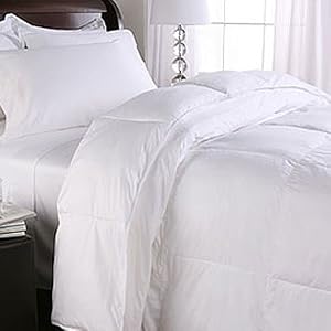 400TC Egyptian Cotton Down Alternative Comforter, King by 
