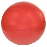 Professional Exercise Ball 45 cm with Pump (Ruby Red)
